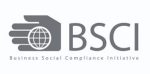 bsci 300x149